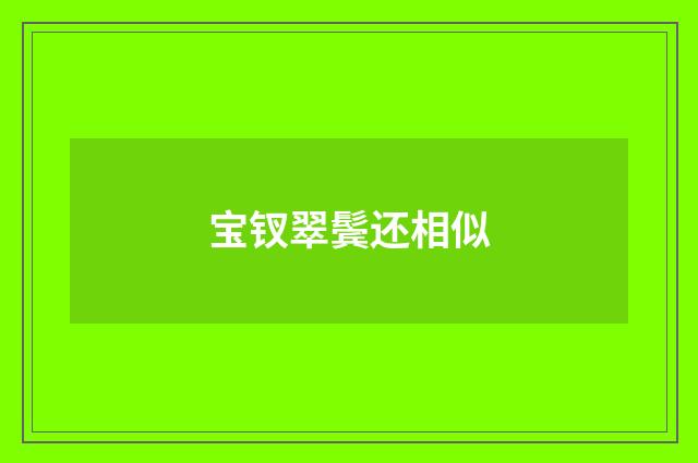 宝钗翠鬓还相似