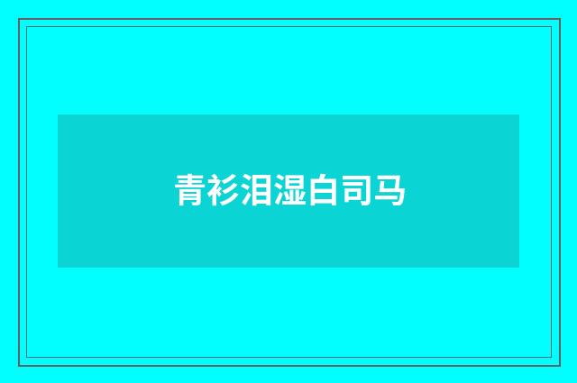 青衫泪湿白司马