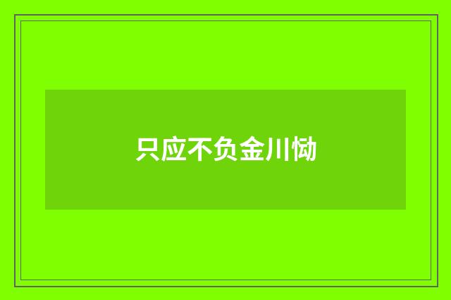 只应不负金川恸