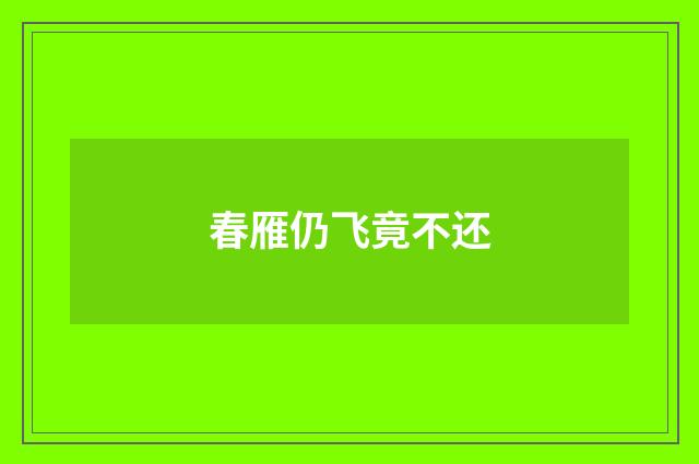 春雁仍飞竟不还