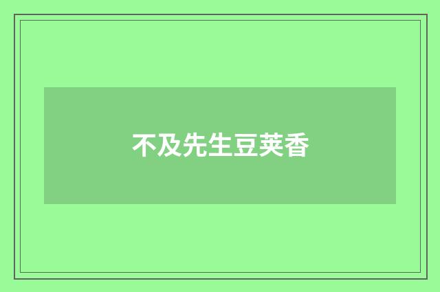 不及先生豆荚香