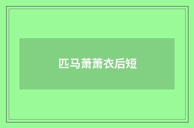 匹马萧萧衣后短