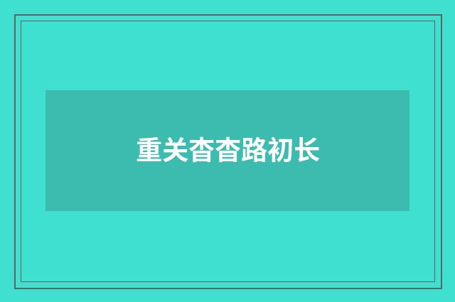 重关杳杳路初长