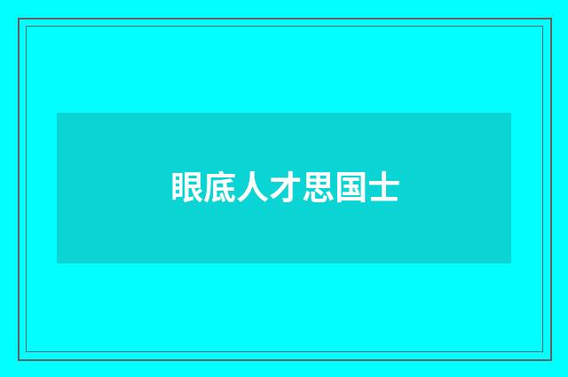 眼底人才思国士