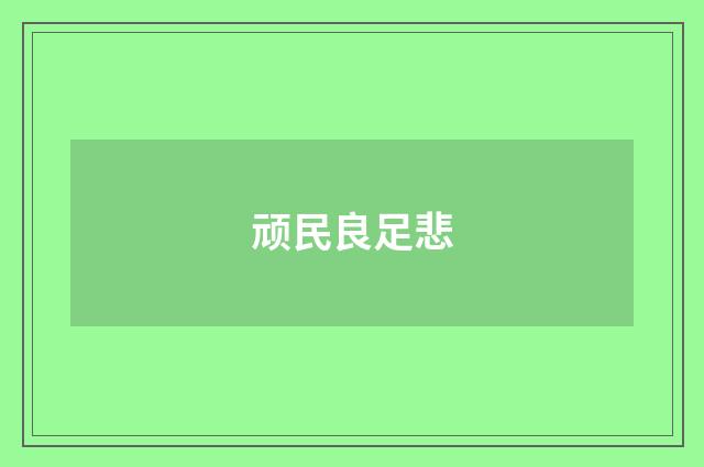 顽民良足悲