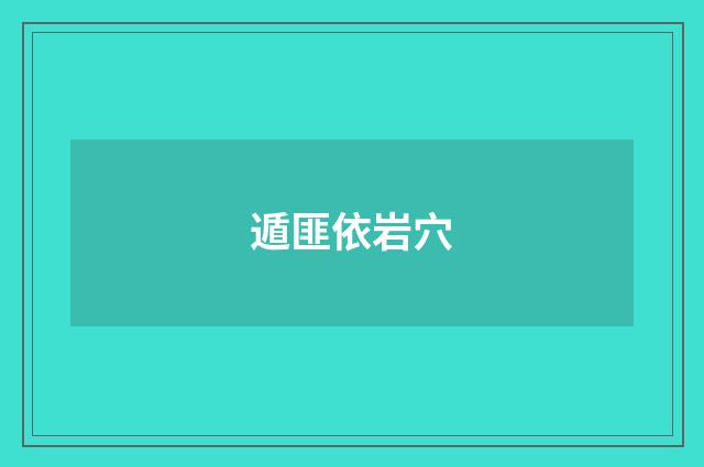 遁匪依岩穴