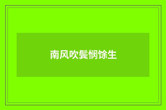 南风吹鬓悯馀生