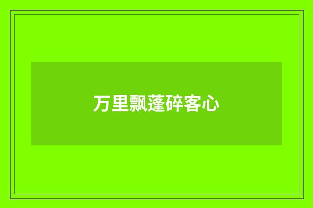 万里飘蓬碎客心