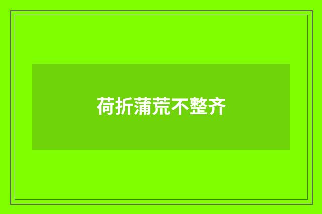 荷折蒲荒不整齐