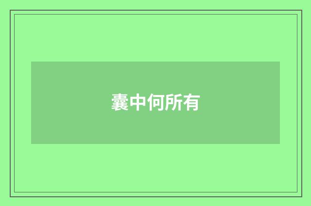 囊中何所有