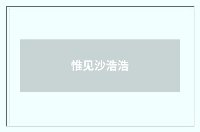 惟见沙浩浩