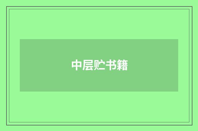 中层贮书籍