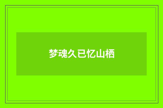 梦魂久已忆山栖