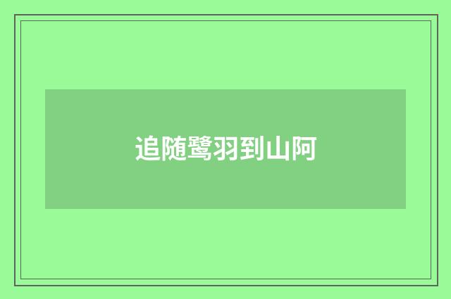追随鹭羽到山阿