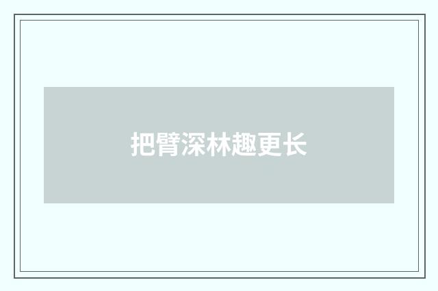 把臂深林趣更长