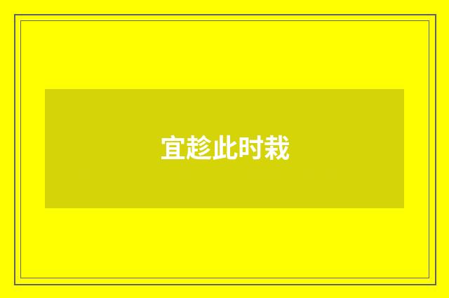 宜趁此时栽