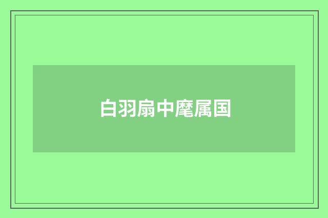 白羽扇中麾属国