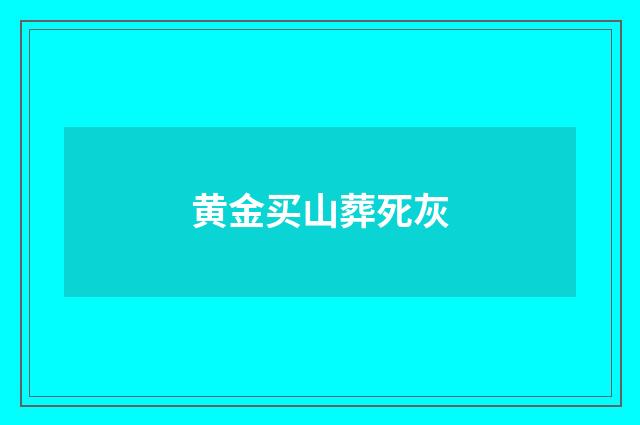 黄金买山葬死灰