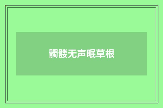 髑髅无声眠草根