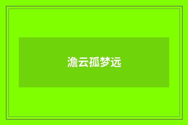 澹云孤梦远