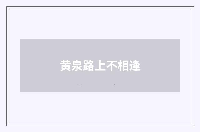黄泉路上不相逢