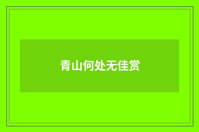 青山何处无佳赏