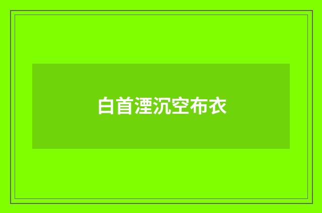 白首湮沉空布衣