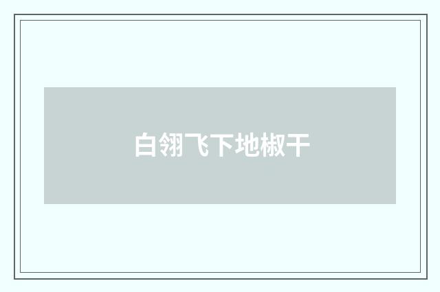 白翎飞下地椒干