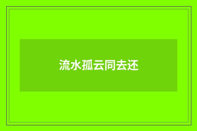 流水孤云同去还