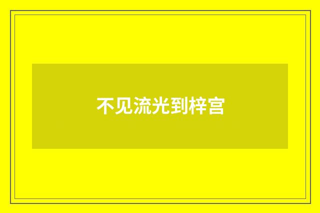 不见流光到梓宫