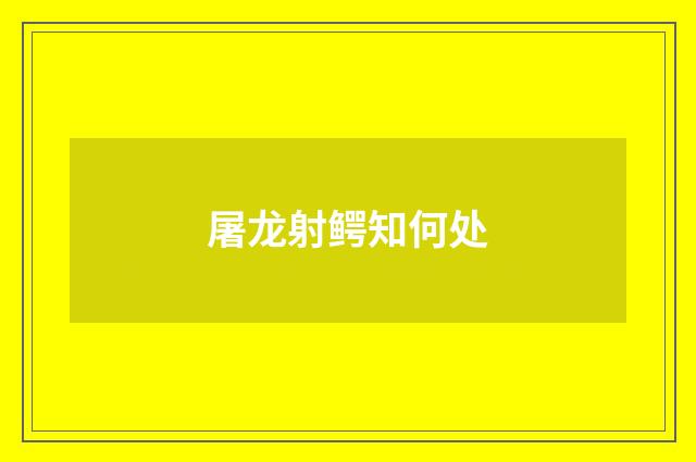 屠龙射鳄知何处