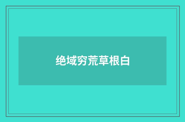 绝域穷荒草根白