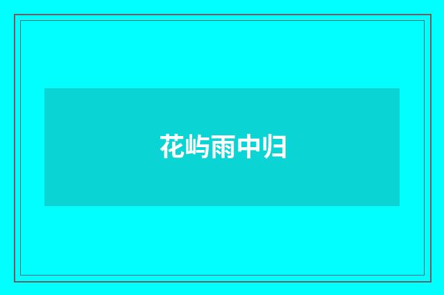 花屿雨中归