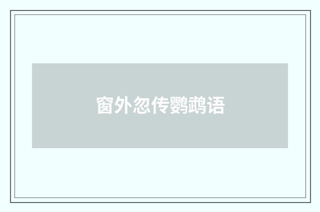 窗外忽传鹦鹉语