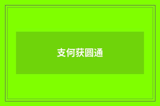 支何获圆通