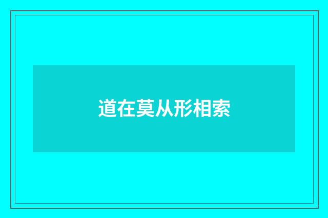 道在莫从形相索