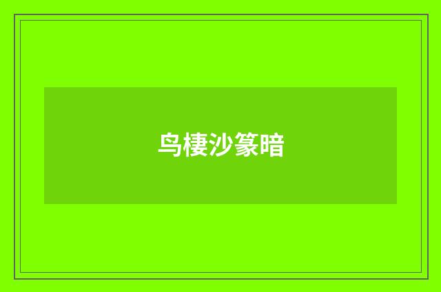 鸟棲沙篆暗