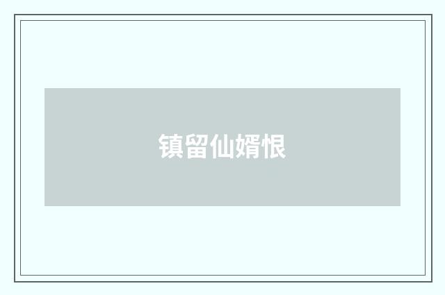 镇留仙婿恨