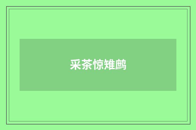 采茶惊雉鹧