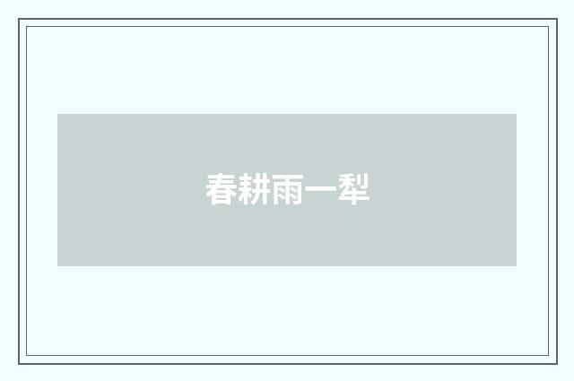春耕雨一犁