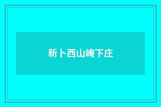 新卜西山崦下庄