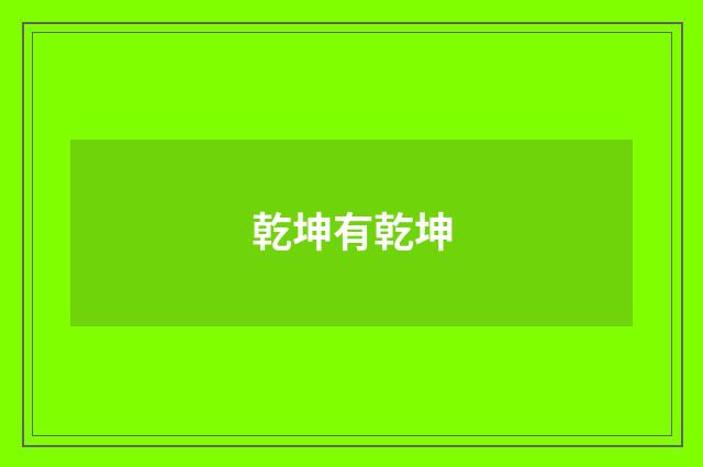 乾坤有乾坤