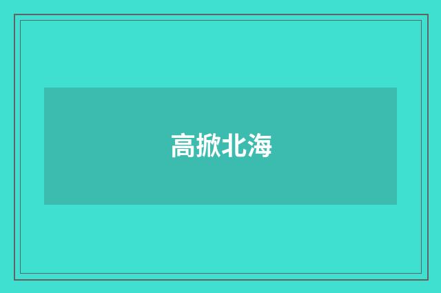 高掀北海