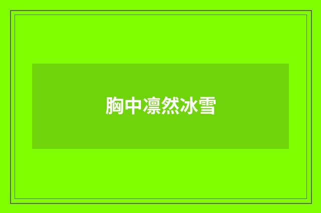 胸中凛然冰雪