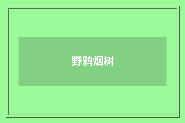野鸦烟树