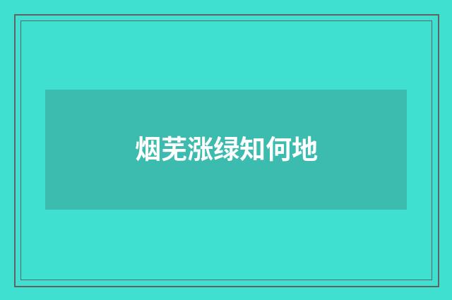 烟芜涨绿知何地
