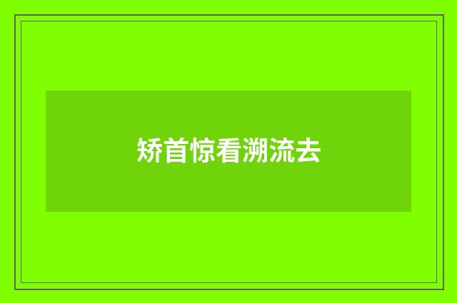矫首惊看溯流去