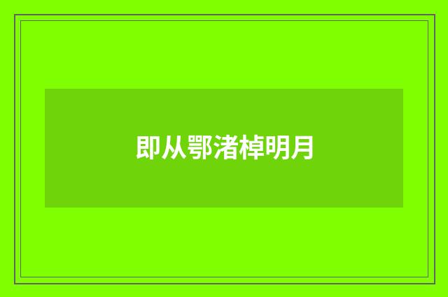 即从鄂渚棹明月