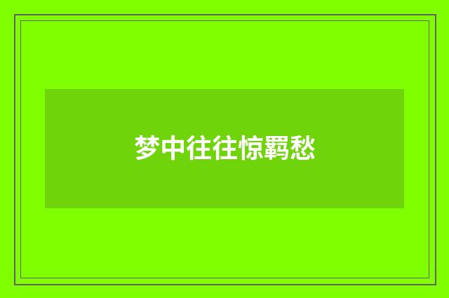 梦中往往惊羁愁