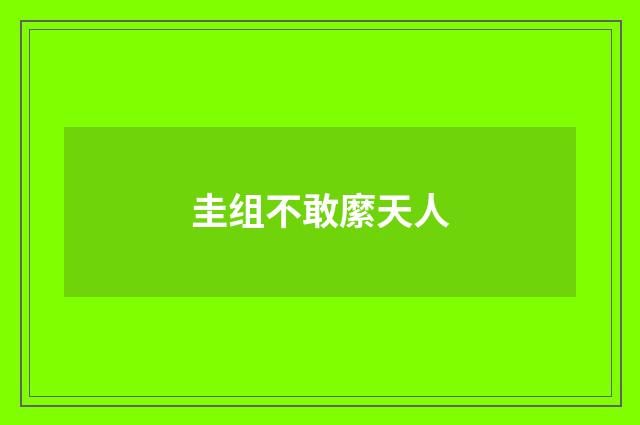 圭组不敢縻天人